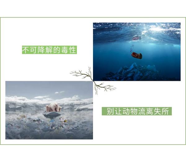 二恶英 世纪之毒 知乎