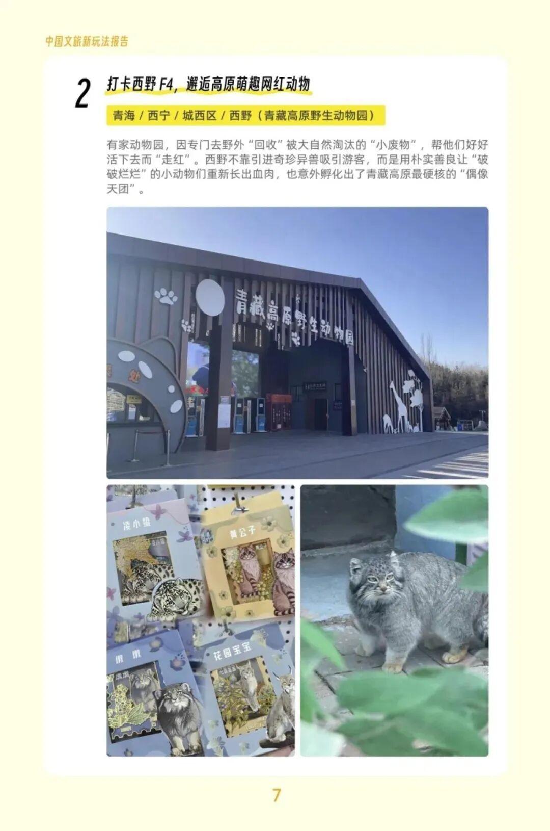 2026中国文旅新玩法全解析 - 知乎