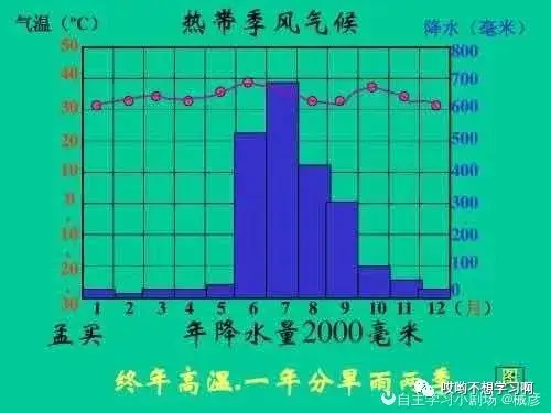 热带雨林气温降水图图片