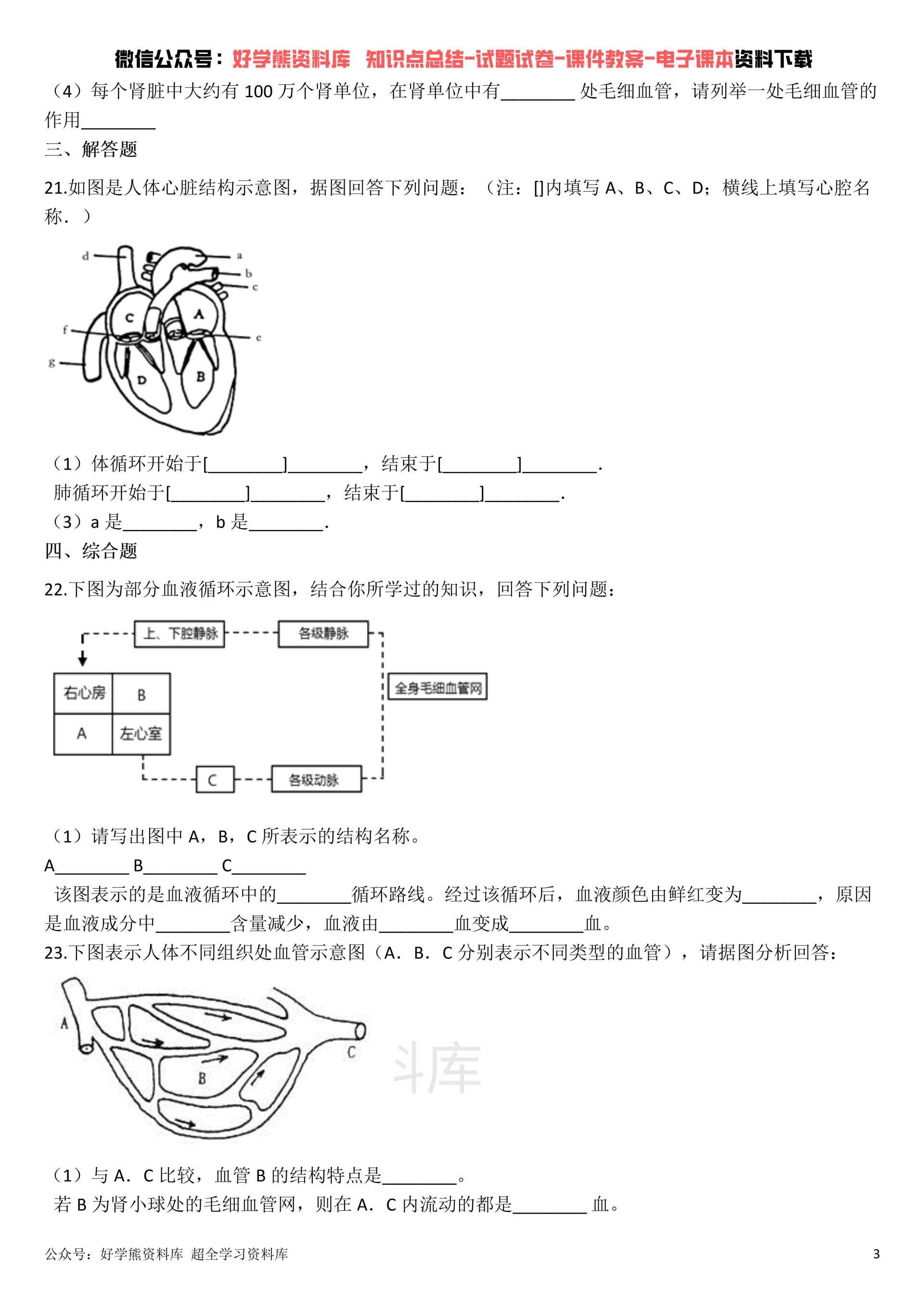 冀教版初一七年级下册生物第二单元测试卷