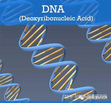 分子遗传学入门知识简答(一) - 知乎