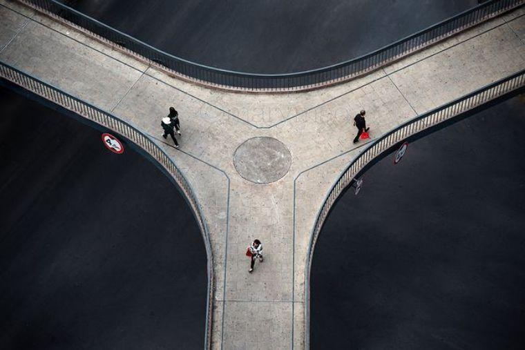 前路迷茫不如来黏米宠物美容课堂