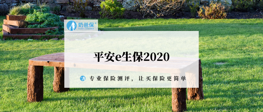 平安e生保2020优缺点分析保险小白都来看看