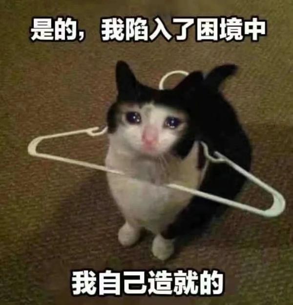 发疯发癫的表情包 - 知乎