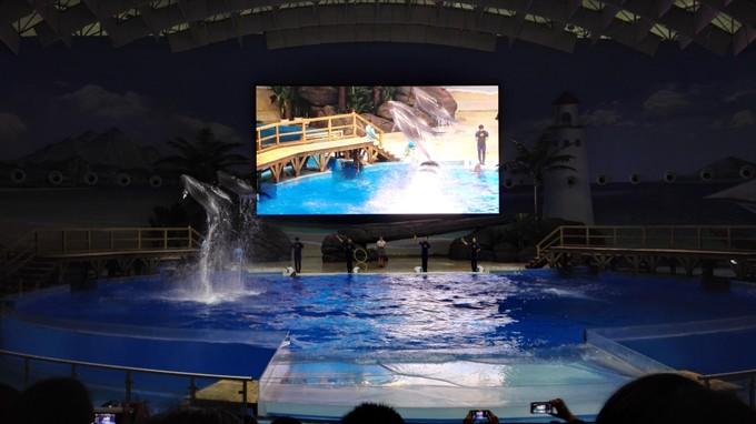 武汉最值得看的13个景点疫情结束后我要去拥抱你武汉