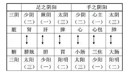 转：三阴三阳深度解析！（附通俗理解版六经开阖枢） 知乎 