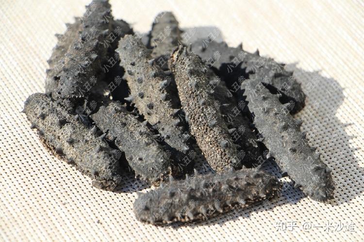 了解一下不同人群和年龄段海参的食用量