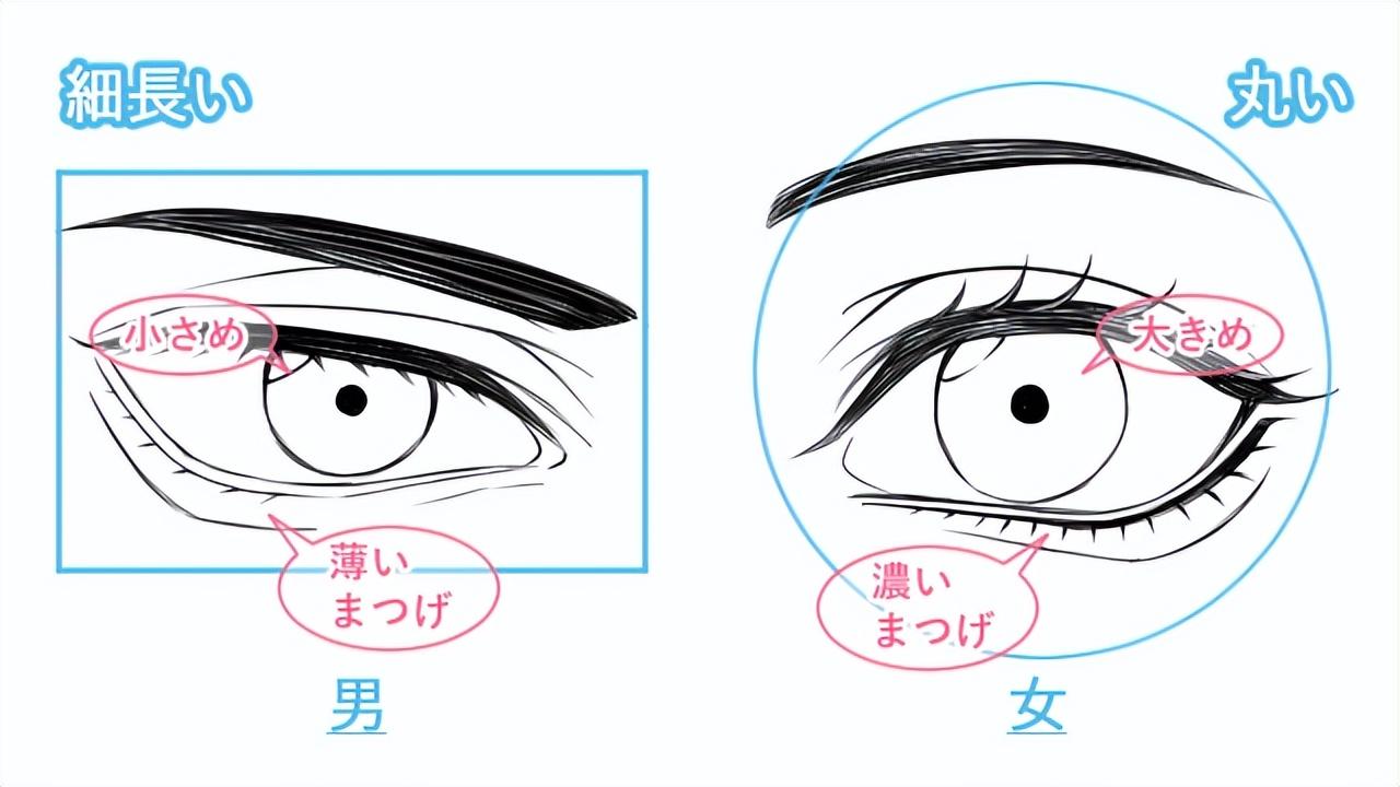 畫眼睛的關鍵是什麼教你畫眼睛需要注意的細節