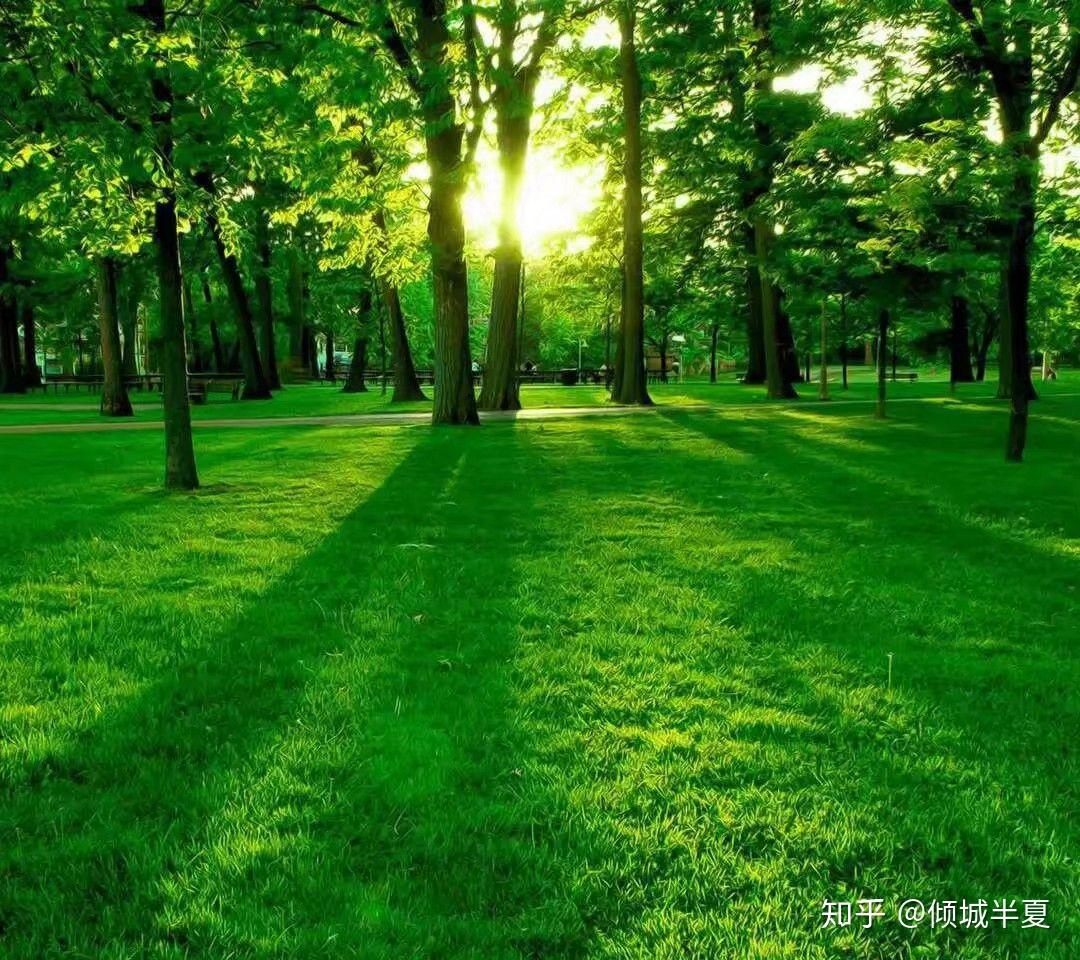 今日分享—— 《读书是生命的另一种存在》严歌苓 - 知乎