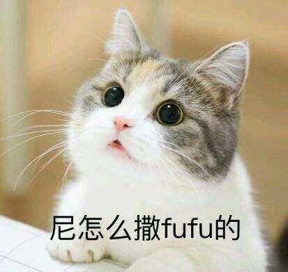 怎么看待《新娘阿花》这首歌?