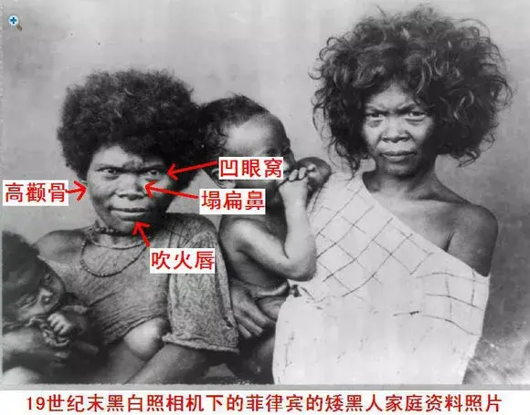 第一册〈奏疏〉有载:"一解招倭,番,海鬼诸恶夷:至于海鬼黑人,其国去