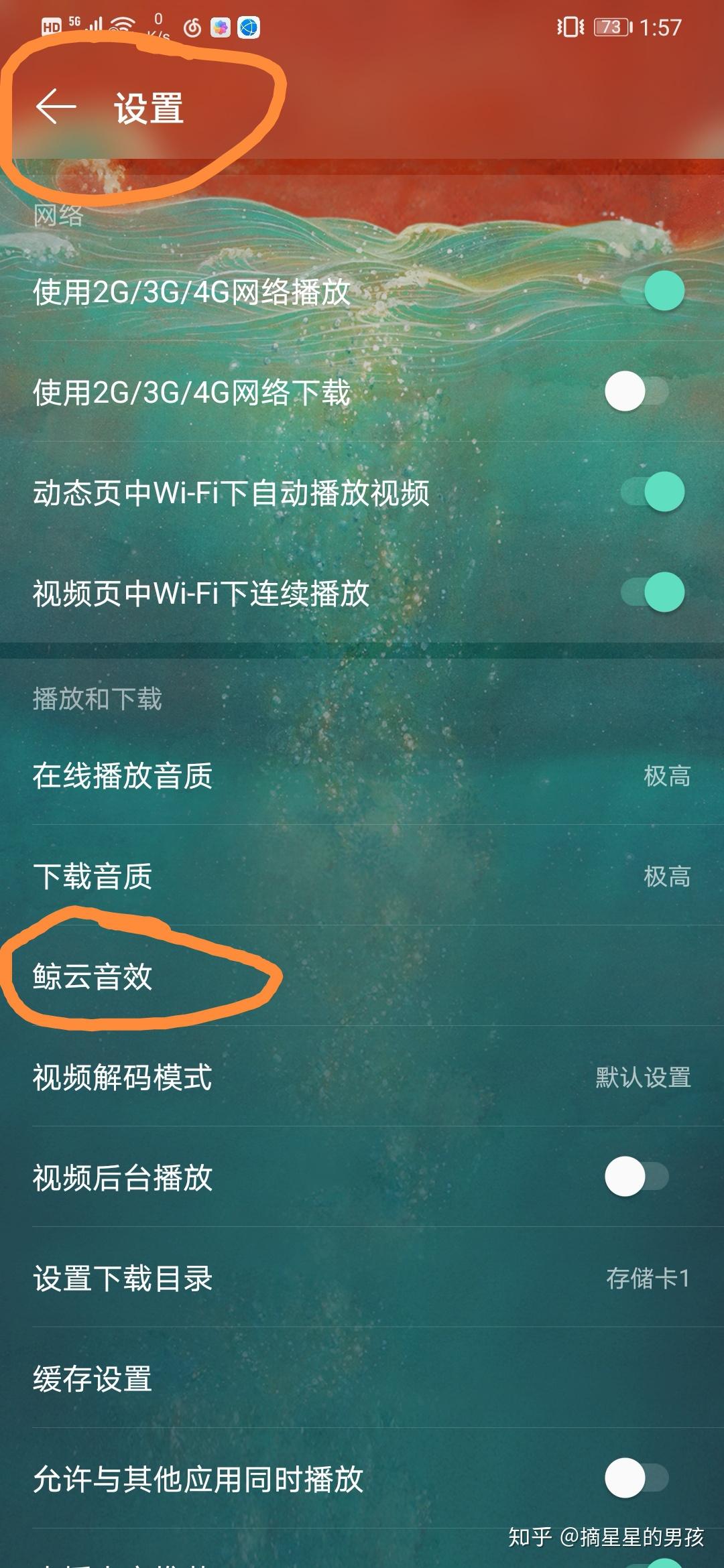 鲸鱼的声音怎么样 v2-73d162667aa12c40b176f0325321d86a_r.jpg