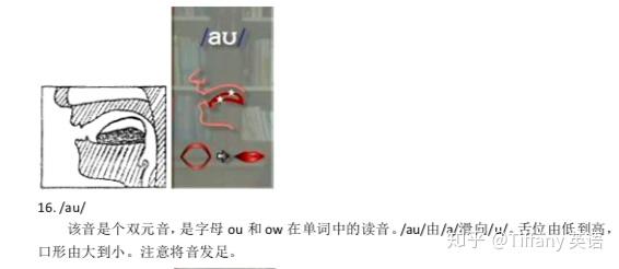 48个国际音标发音舌位图 - 知乎