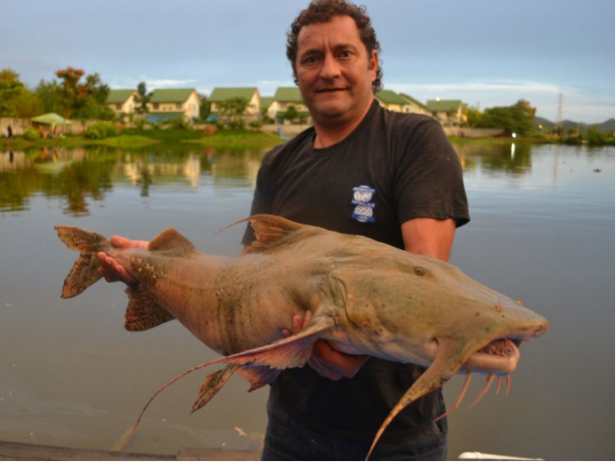 印度恒河物种泛滥鲶鱼体型比猪还大想低价出口我国直接被拒绝