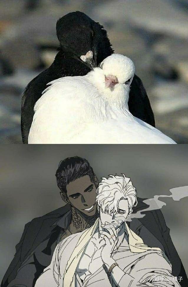 耽美文推荐:一篇好看的长文