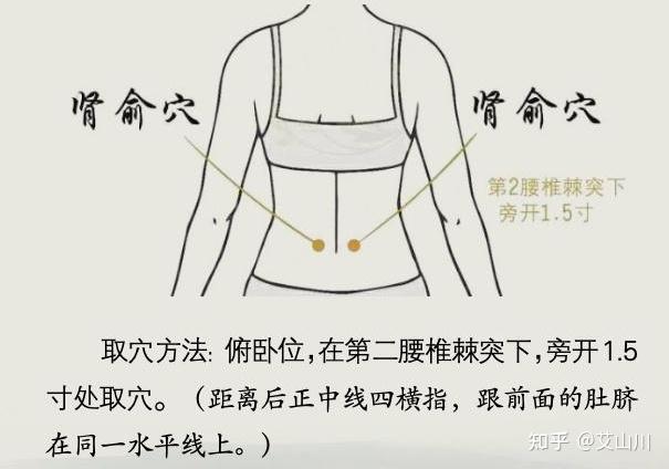 日常保健灸|“补肾开关”肾俞穴 - 知乎