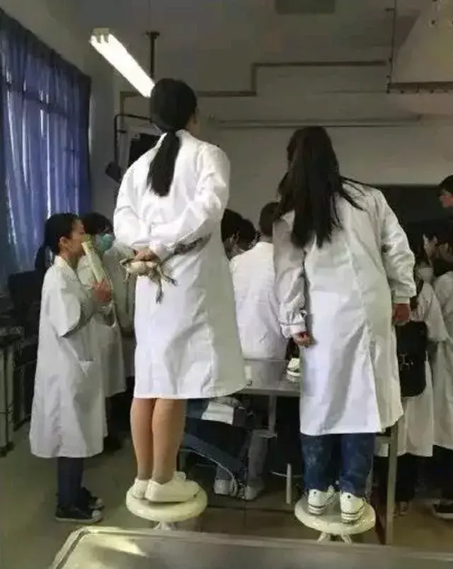 荟医教育:如果你有一个学医的女朋友 - 知乎