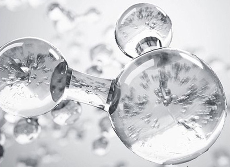 震惊听过二裂酵母却不知道二裂酵母的作用