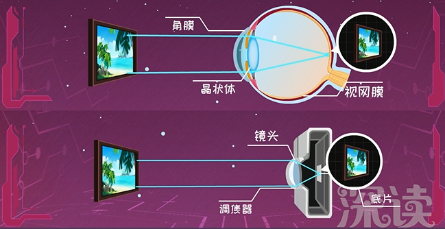 真假近视不分盲目戴眼镜会对孩子视力造成永久性伤害