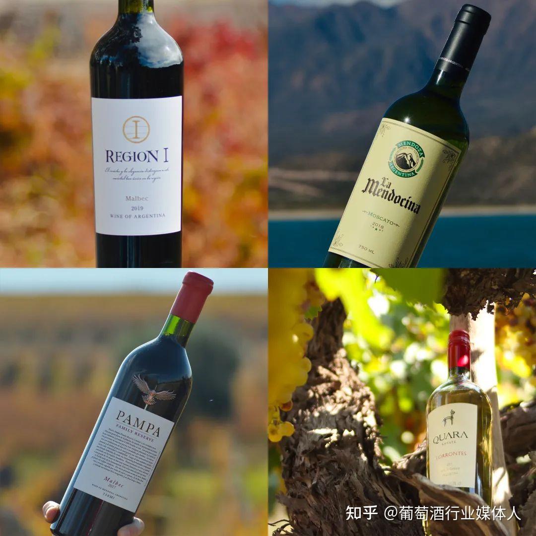 第15届g100参赛企业丨潘帕斯酒业领略阿根廷的别样风土