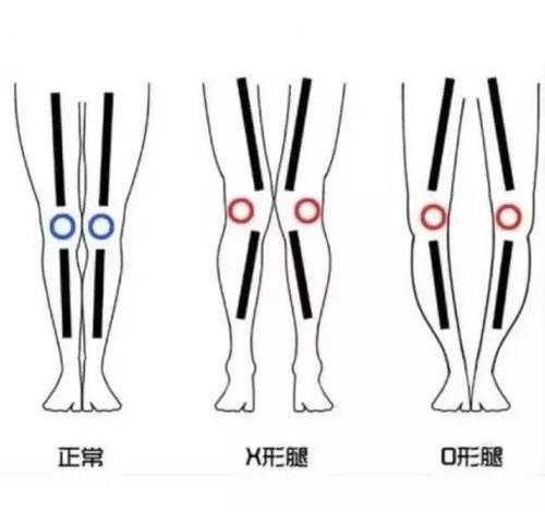 翹臀必先知臀中戰鬥機臀中肌