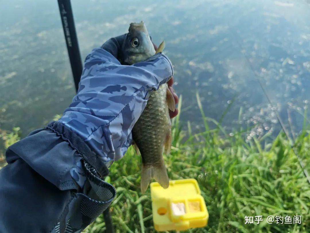 传统钓该配什么线组？浅谈朝天钩和睡钩，在野钓鲫鱼中的区别 - 知乎
