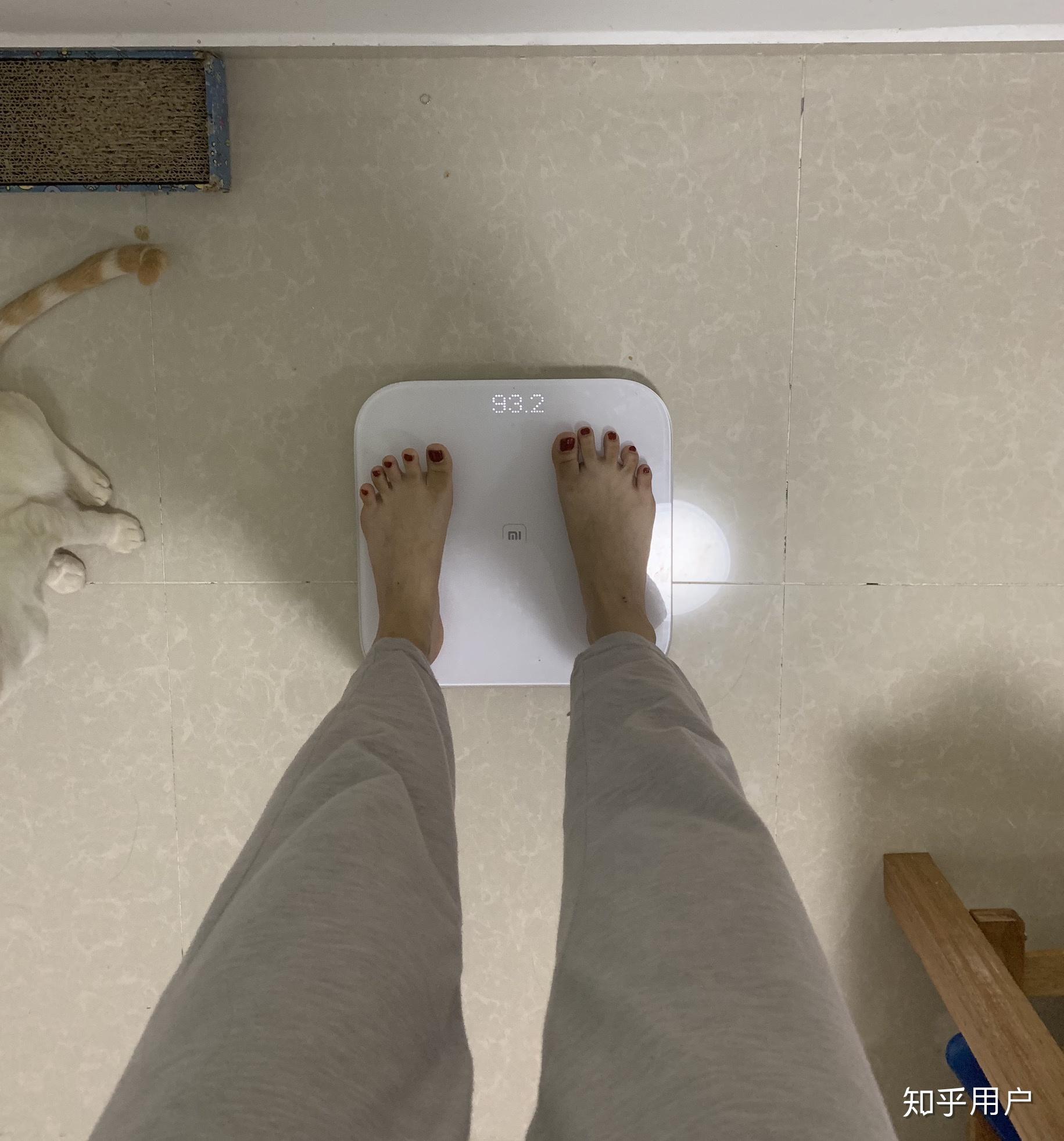 身高163体重92斤胖吗