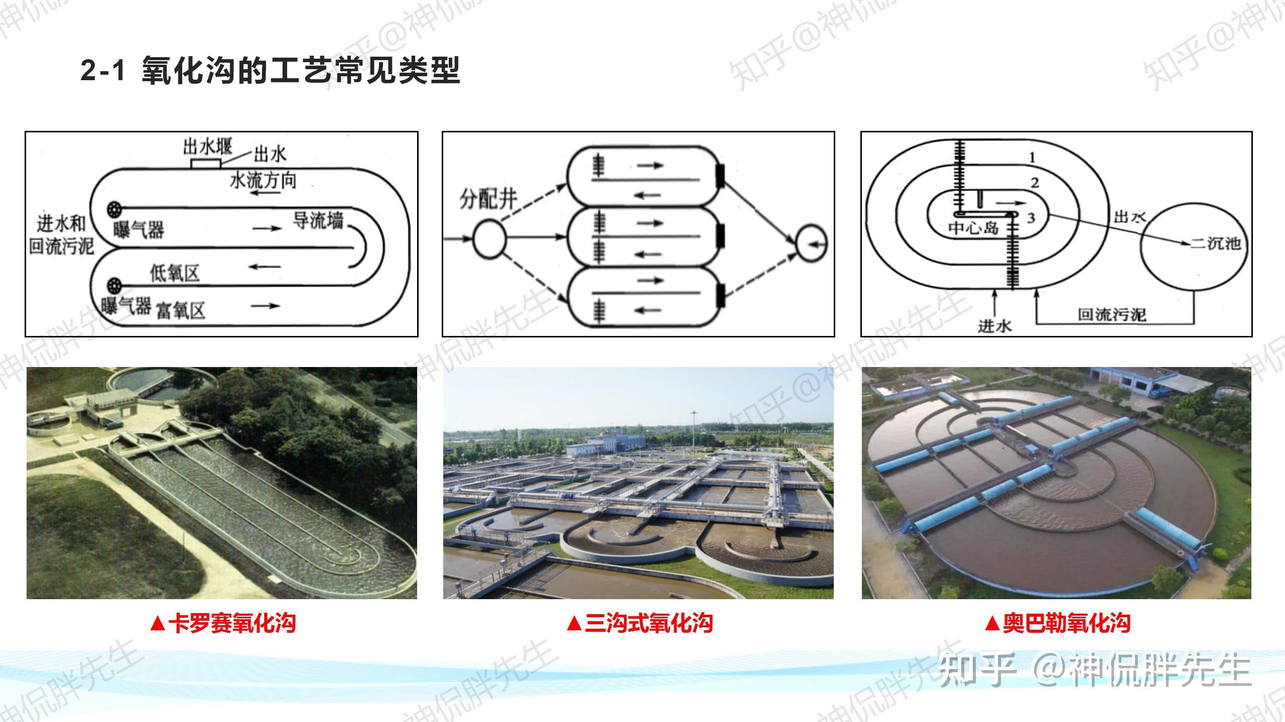 有关于氧化沟微生物的相关知识吗