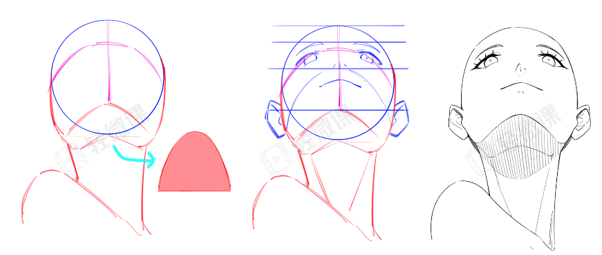 每天掌握一个绘画小技巧——一招搞定平视/仰视/俯视头部的正确画法!