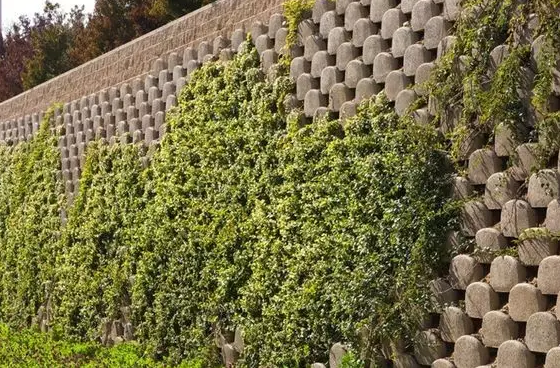 新型护坡景观设计,斜坡绿化也可以这么美!