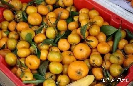 为什么日本的水果那么贵?