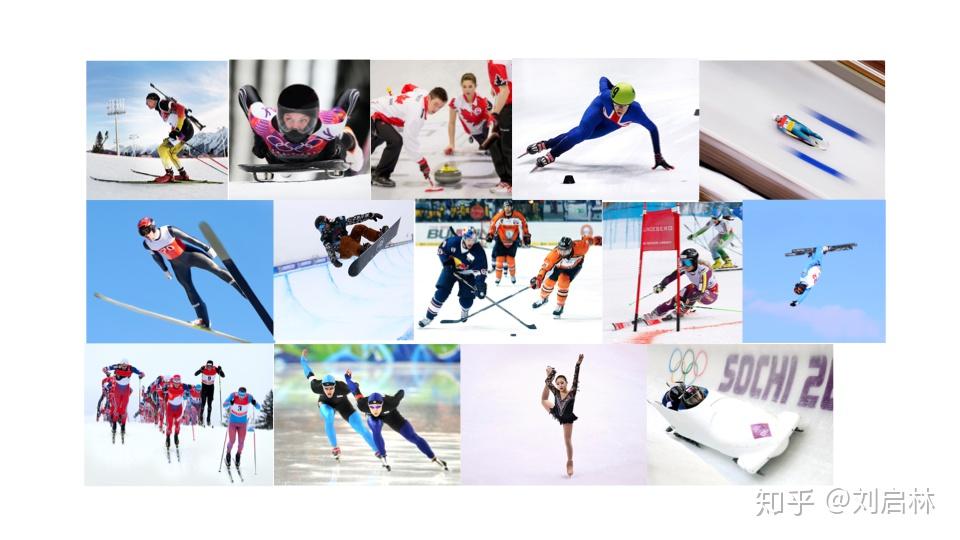 冬奥会7大项15小项图片图片
