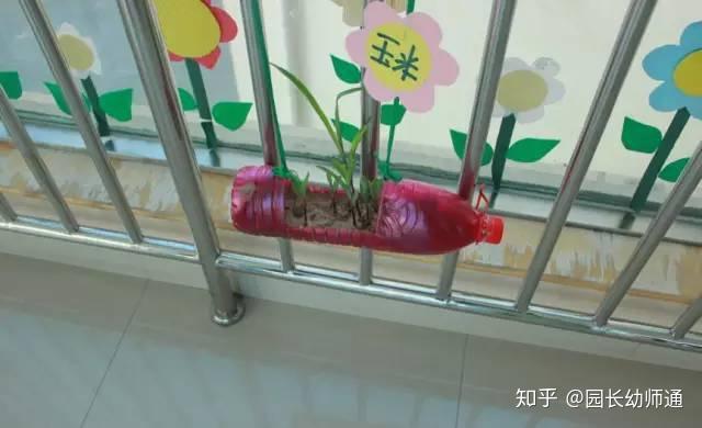 幼儿园手工作品展示柜 v2-74688c7e345bd4229624d54c1fbe17b4_r.jpg
