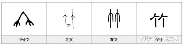 竹——汉字的字元·草木植物 - 知乎