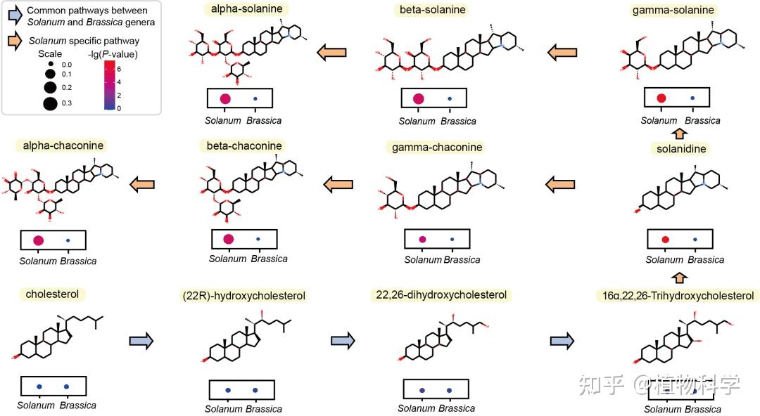 华中农业大学生物信息团队发布植物比较代谢组数据库，助力植物代谢多样性研究 - 知乎