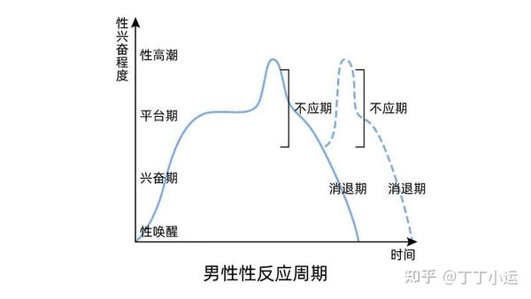 一文看懂,男女性兴奋反应周期对照图 - 知乎