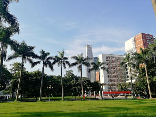 暨南大学艺术学院艺术硕士专业介绍 ——电影专硕(含真题) - 知乎