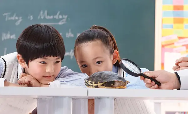 为什么要学好“人文科学”知识？ 知乎