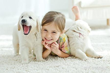 宠友在线 : 养宠物有哪些缺点和优点?我们应不应该养宠物呢? - 知乎