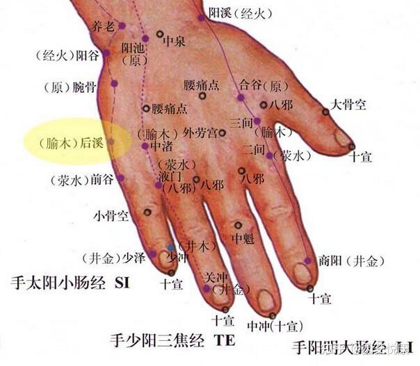 手指手背穴位按摩方法