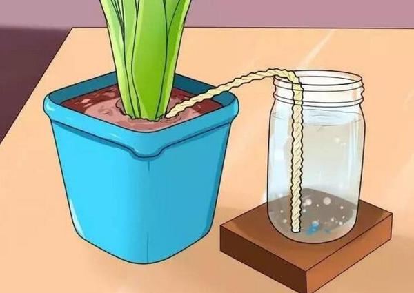 自制自动浇花神器 一个月不浇水花花照样开的美美的 知乎