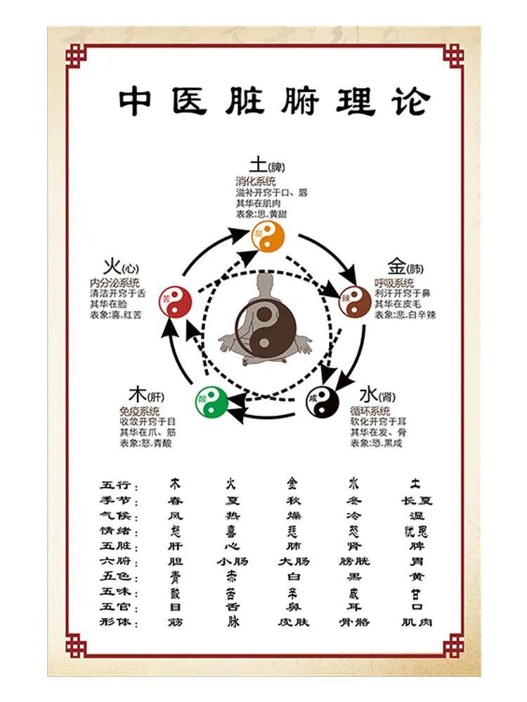 五行学说与身体疾病|干货分享 - 知乎