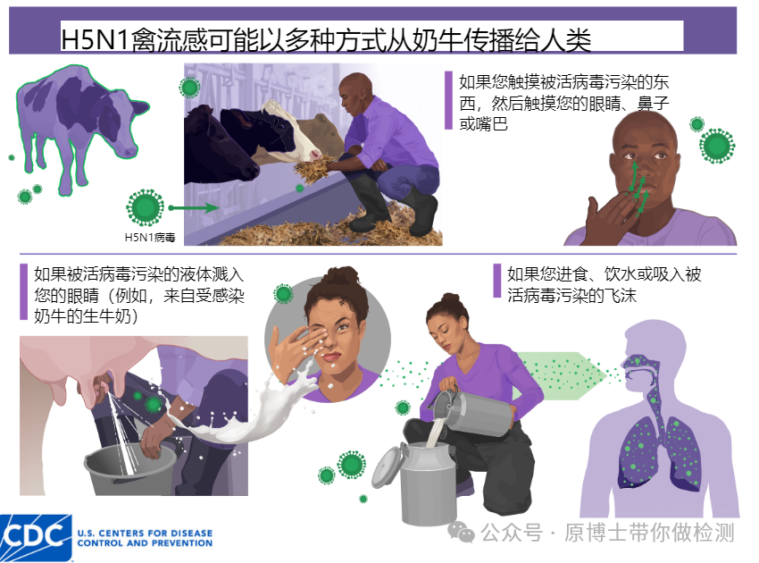 奶牛h5n1感染人病例持续增加,患者首现流感症状