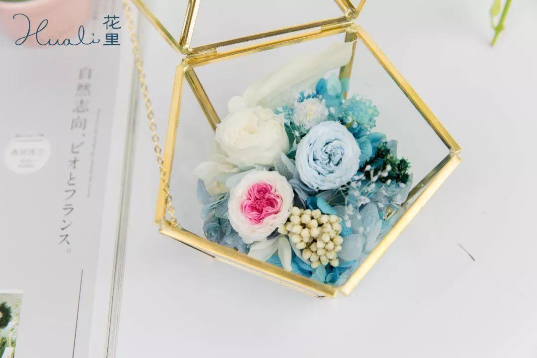 《知否》丨明兰收"象生花"乐开花?这不是永生花吗?(二)