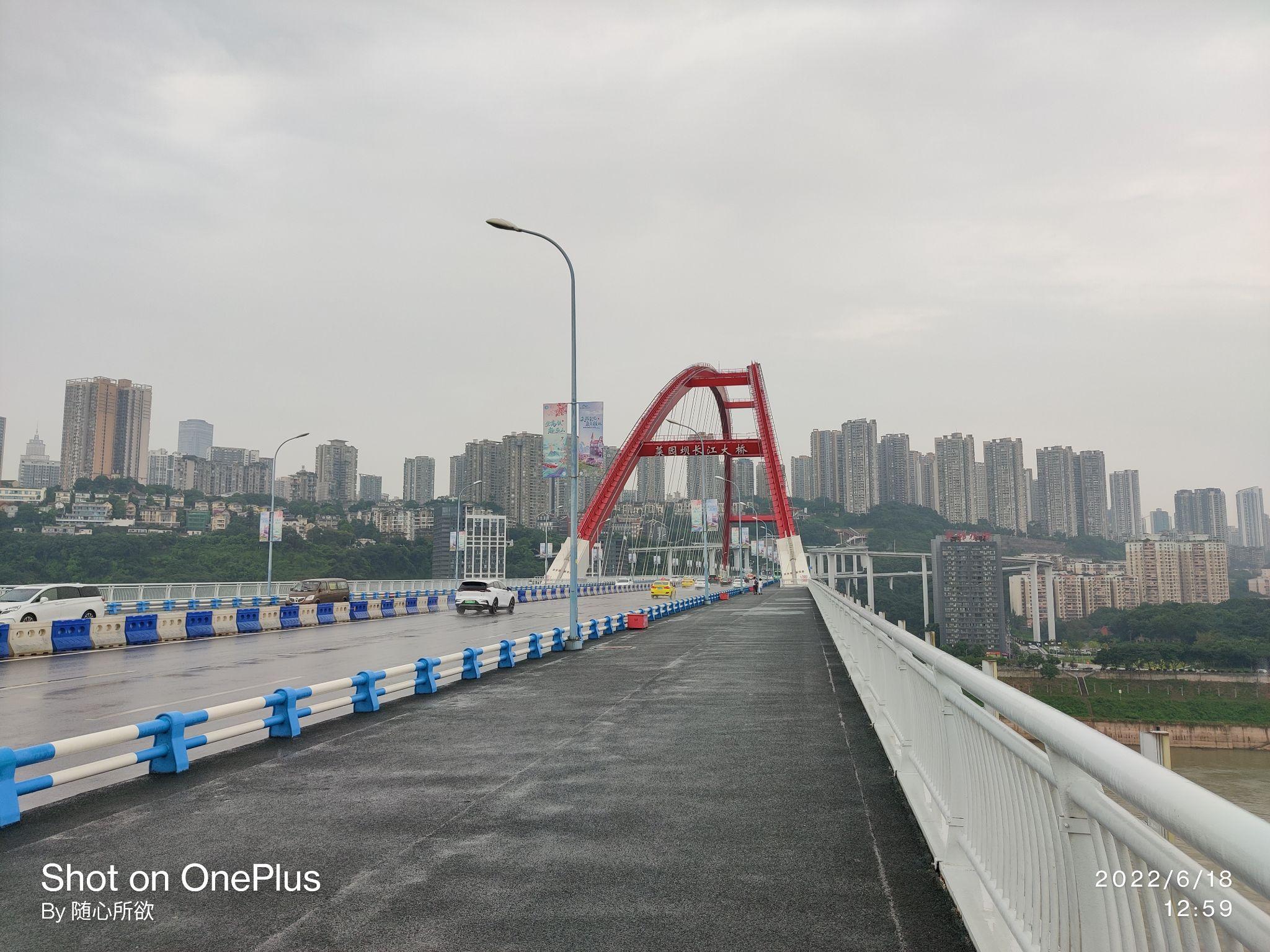 14.菜園壩長江大橋