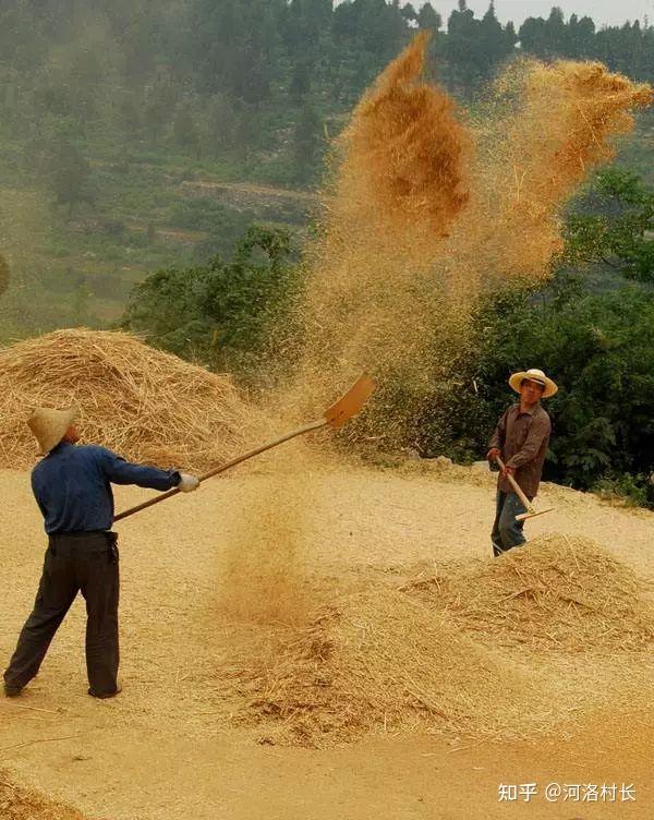 打麦子的石滚图片图片