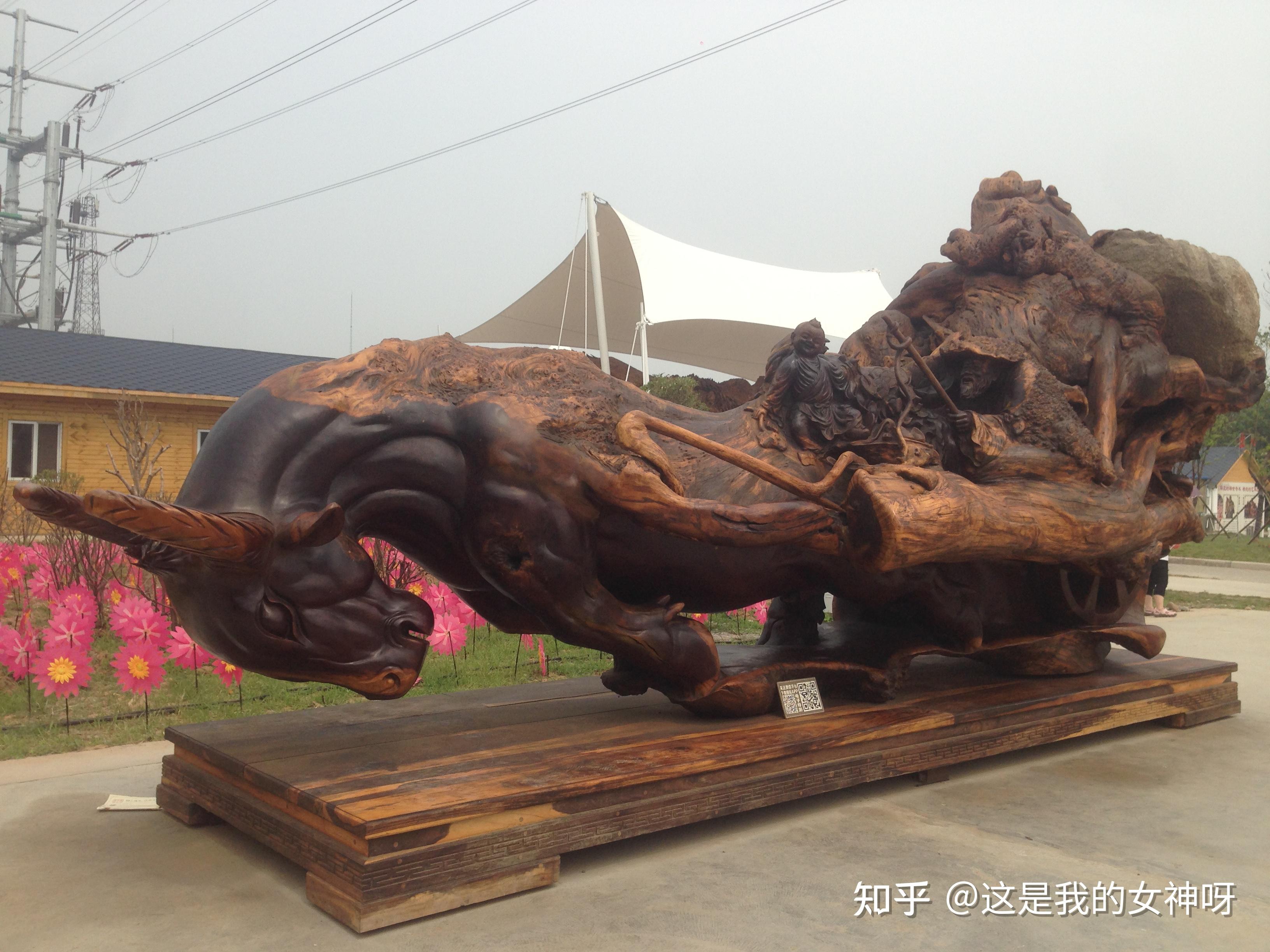 开车去看根雕艺术展 - 知乎