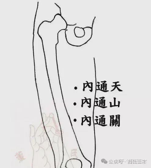 解锁董氏奇穴:10种堪称“立竿见影”的特效穴 - 知乎