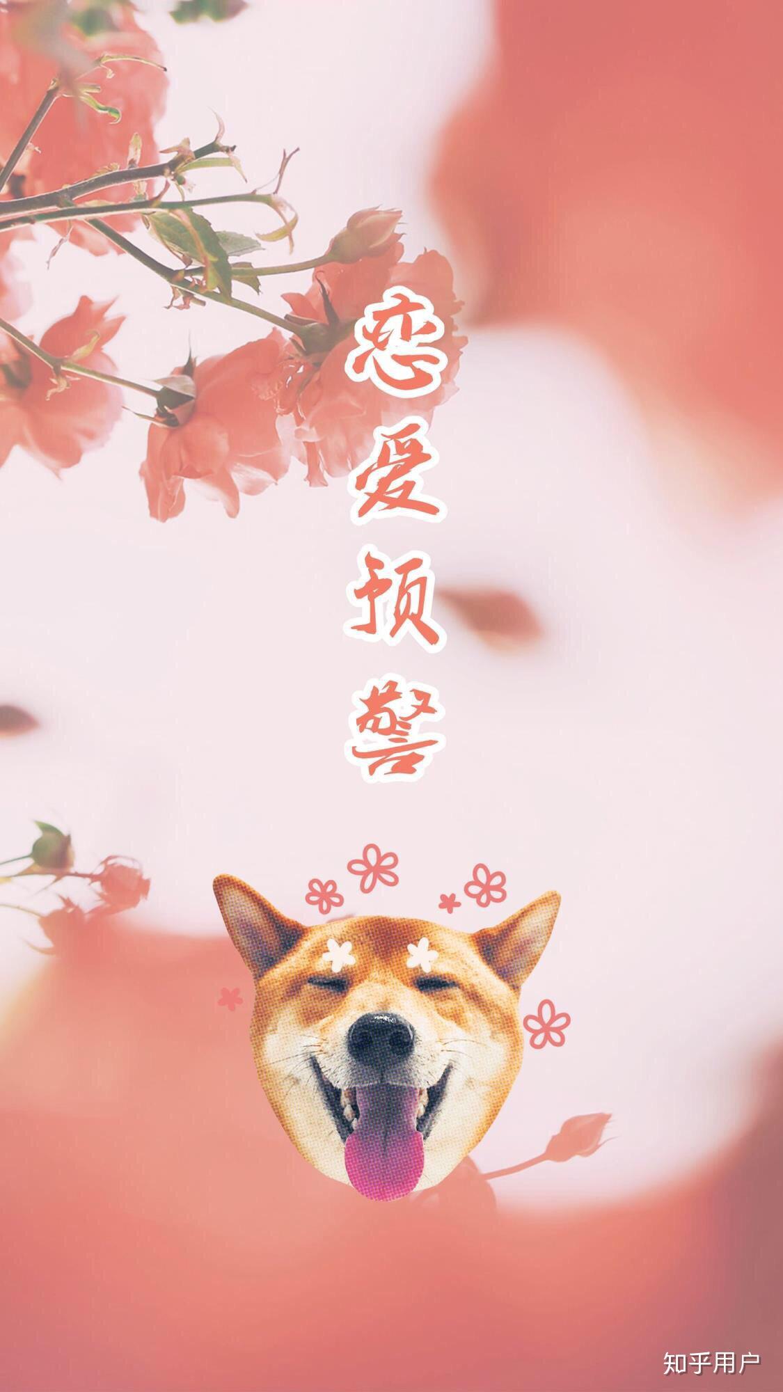 大龄剩女如何找对象?