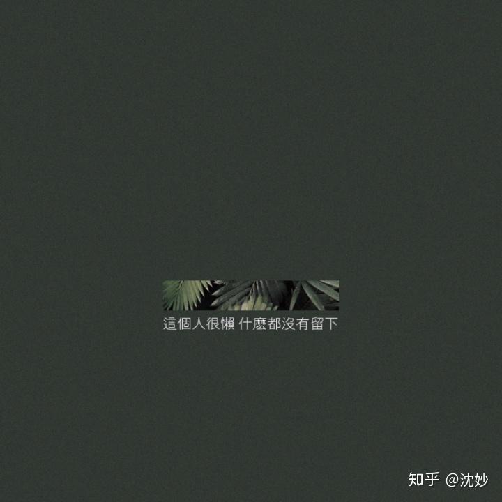 v2-74e18f267580a43285083814a5b07fba_r.jpg